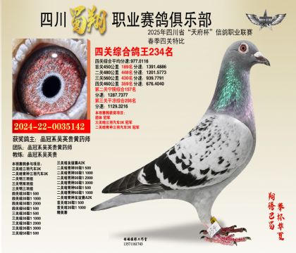 ĴP(gun)234