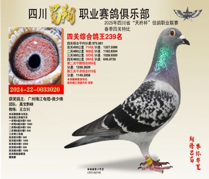 ĴP(gun)239