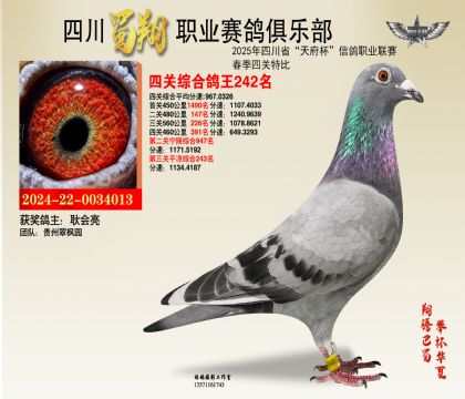 ĴP(gun)242