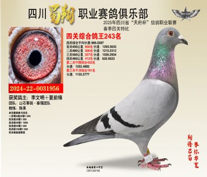 ĴP(gun)243