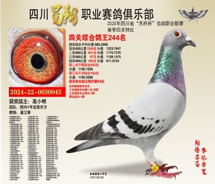 ĴP(gun)244