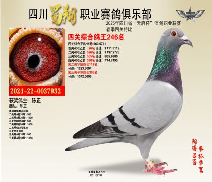 ĴP246