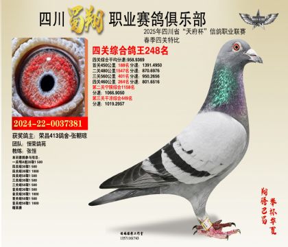 ĴP(gun)248