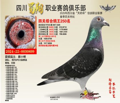 ĴP(gun)250