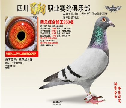 ĴP(gun)253