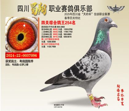 四川蜀翔四關鴿王254名