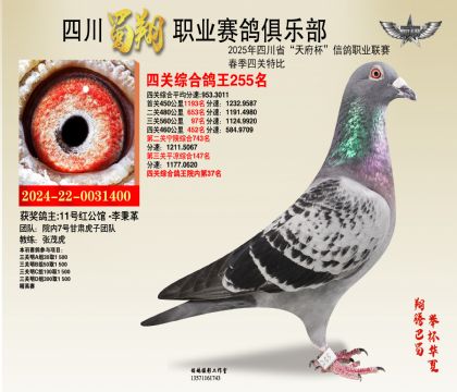 ĴP(gun)255