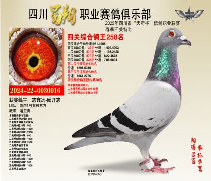 ĴP(gun)258