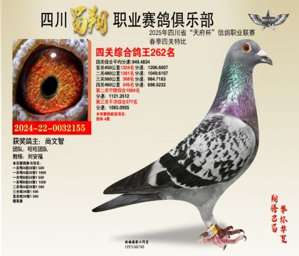 ĴP(gun)262
