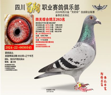 ĴP(gun)263