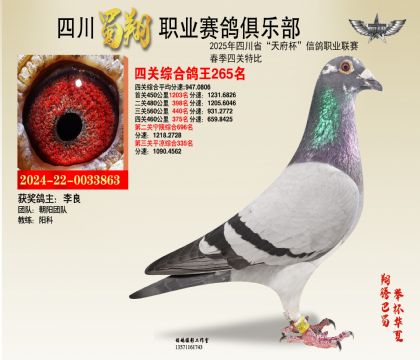 ĴP(gun)265