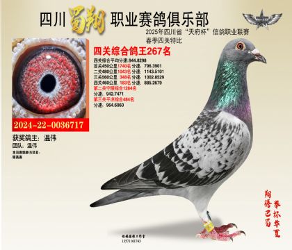 ĴP(gun)267