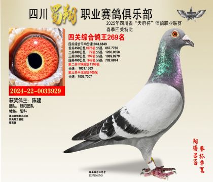 ĴP(gun)269