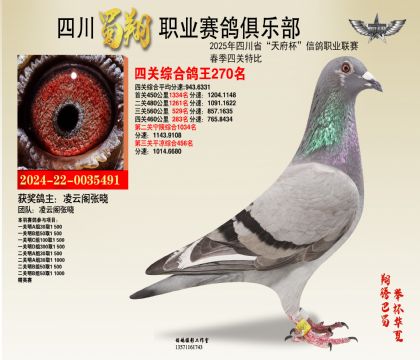 ĴP(gun)270