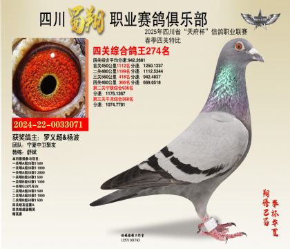 ĴP(gun)274