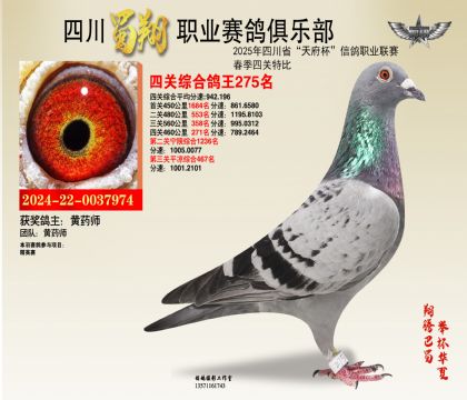 ĴP(gun)275