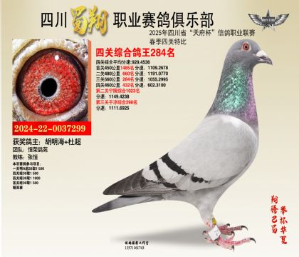 ĴP(gun)284