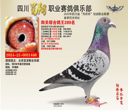 ĴP(gun)289