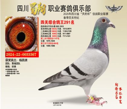 ĴP(gun)291