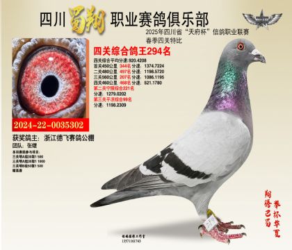 ĴP294