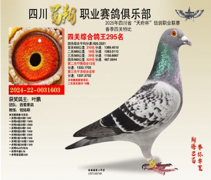 四川蜀翔四關鴿王295名