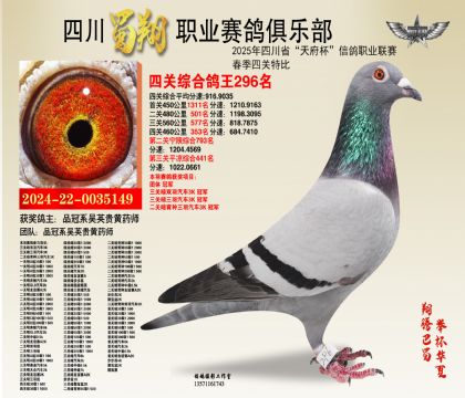 ĴP(gun)296