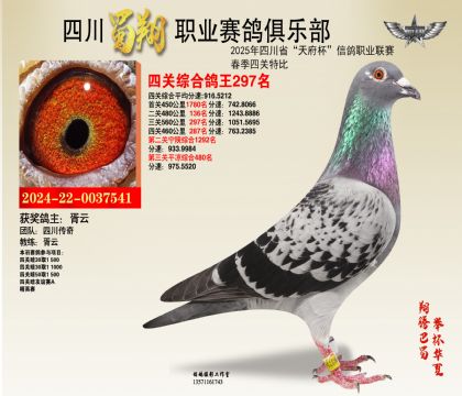ĴP(gun)297