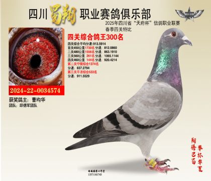 ĴP300