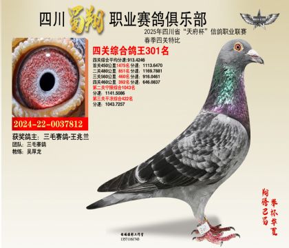 四川蜀翔四關(guān)鴿王301名