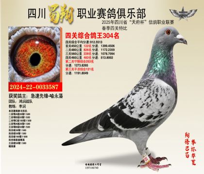 四川蜀翔四關(guān)鴿王304名