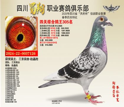 四川蜀翔四關(guān)鴿王305名