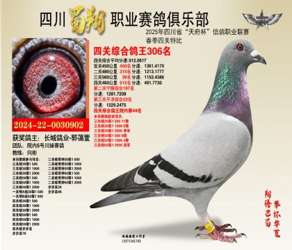 四川蜀翔四關(guān)鴿王306名