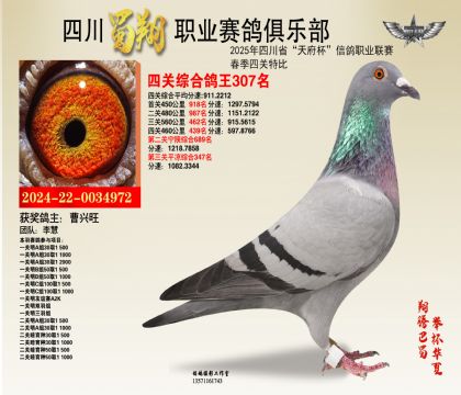 四川蜀翔四關(guān)鴿王307名