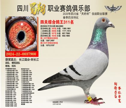 四川蜀翔四關(guān)鴿王311名