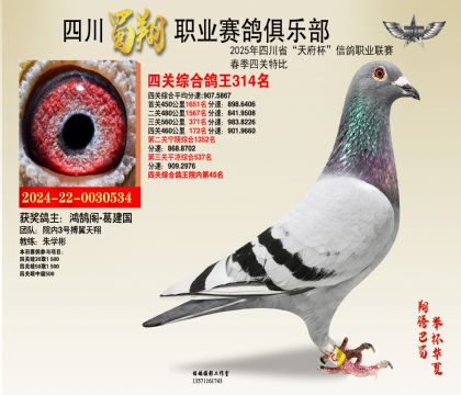 四川蜀翔四關(guān)鴿王314名