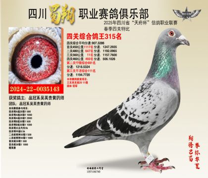 四川蜀翔四關(guān)鴿王315名