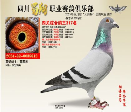 四川蜀翔四關(guān)鴿王317名