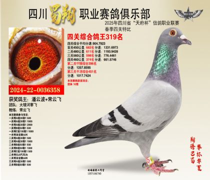 四川蜀翔四關(guān)鴿王319名
