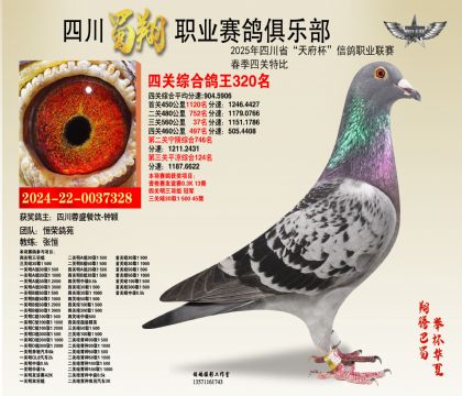 四川蜀翔四關(guān)鴿王320名