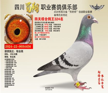 四川蜀翔四關(guān)鴿王324名