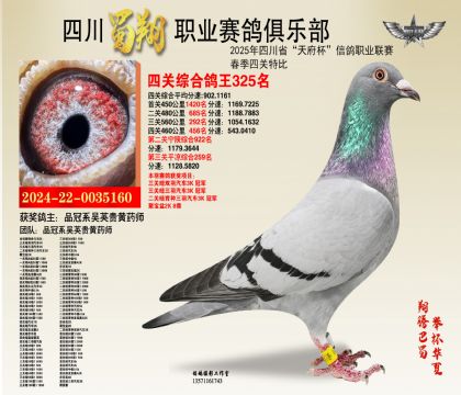 四川蜀翔四關(guān)鴿王325名