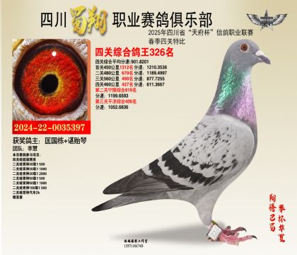 四川蜀翔四關(guān)鴿王326名