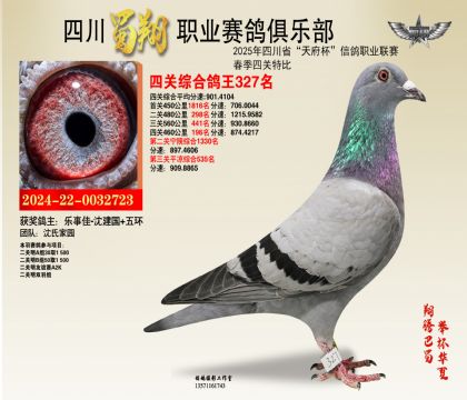 四川蜀翔四關(guān)鴿王327名