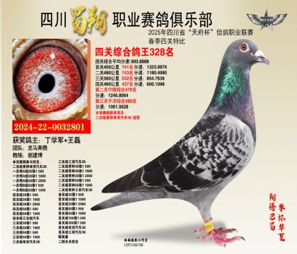 四川蜀翔四關(guān)鴿王328名