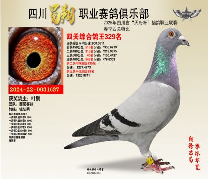 四川蜀翔四關(guān)鴿王329名