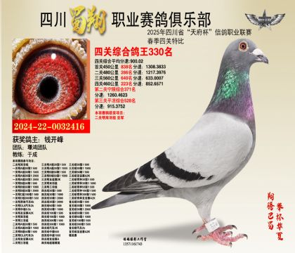 四川蜀翔四關(guān)鴿王330名