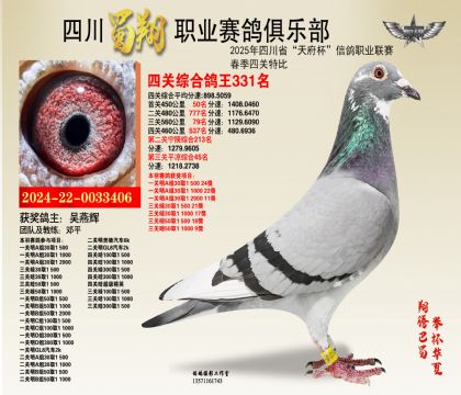 四川蜀翔四關(guān)鴿王331名