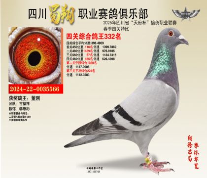 四川蜀翔四關(guān)鴿王332名