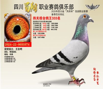 四川蜀翔四關(guān)鴿王333名