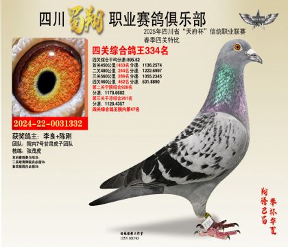 四川蜀翔四關(guān)鴿王334名